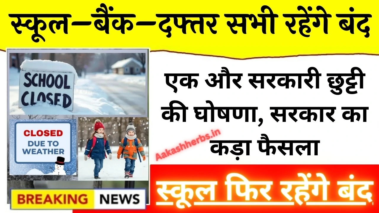 School Holidays January